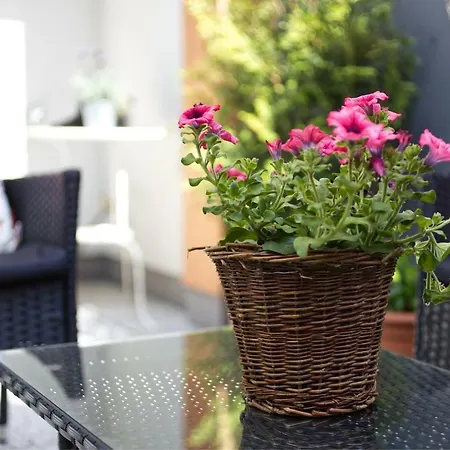 Cosy Rosie's Appartement *
